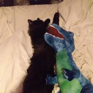 Meet your Posher, Rylan